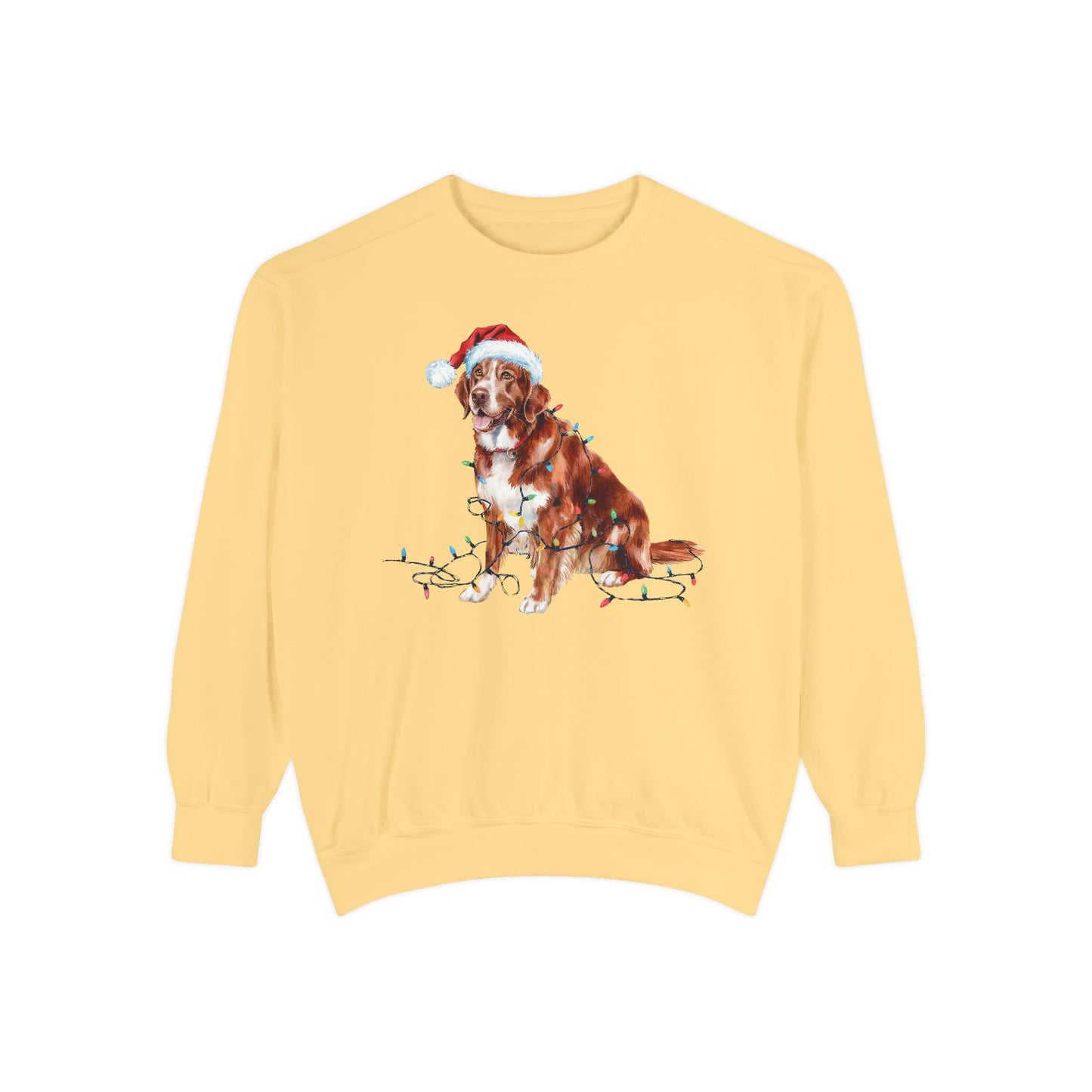 Christmas Nova Scotia Duck Tolling Retriever Sweatshirt, Christmas Lights Dog, Nova Scotia Duck Tolling Retriever Mom, Gift for Dog Lover