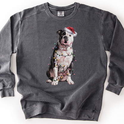 American Bulldog Christmas Lights Sweatshirt, Festive Dog Lover Gift