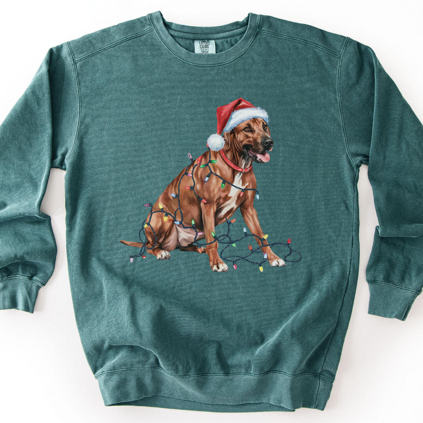 Rhodesian Ridgeback Christmas Lights Dog Sweatshirt, Festive Holiday Pet Lover Gift