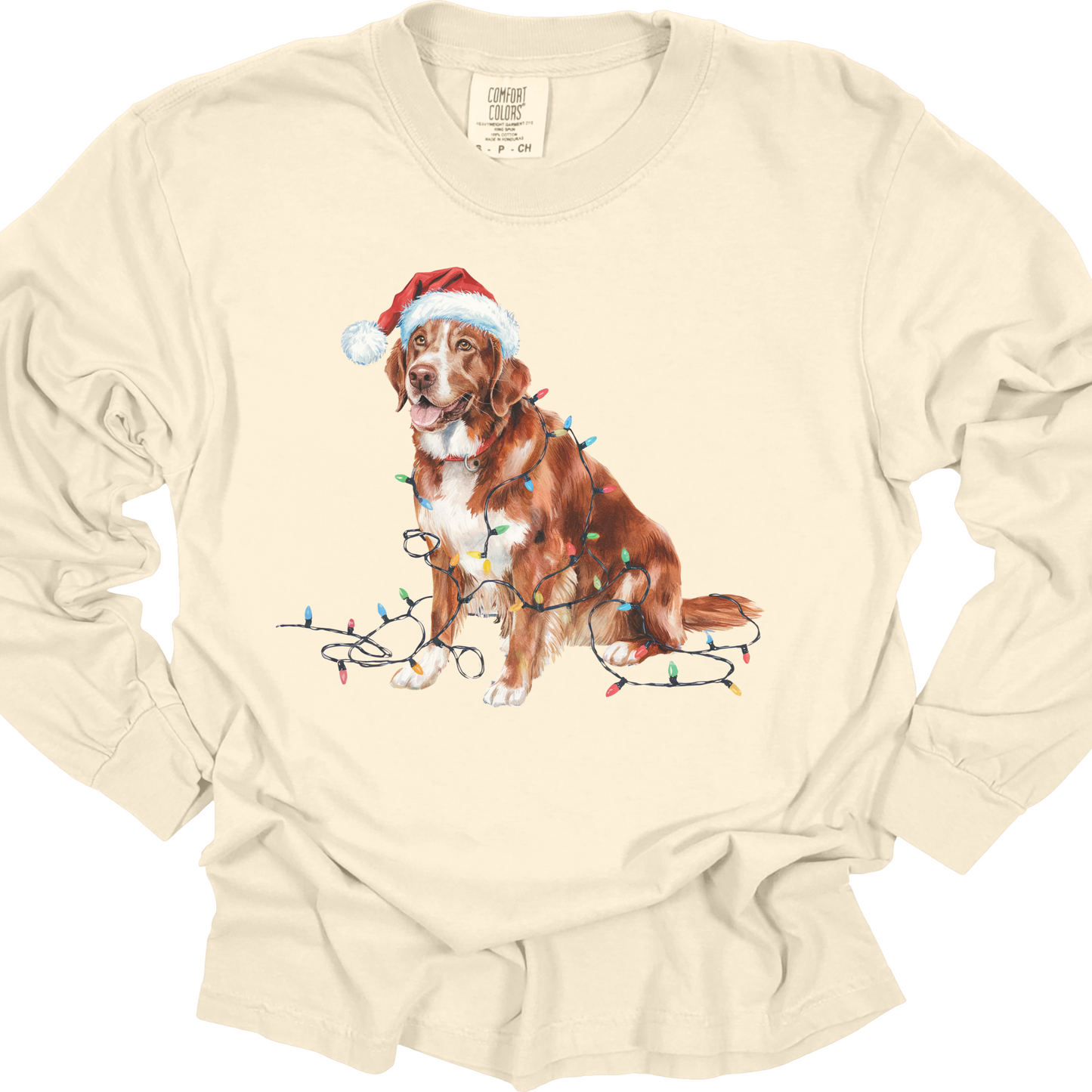 Christmas Nova Scotia Duck Tolling Retriever Long Sleeve Shirt, Festive Dog Lights Tee