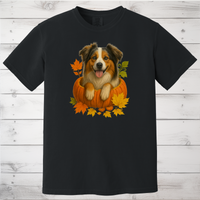 Load image into Gallery viewer, Australian Shepherd Pumpkin Fall Shirt
