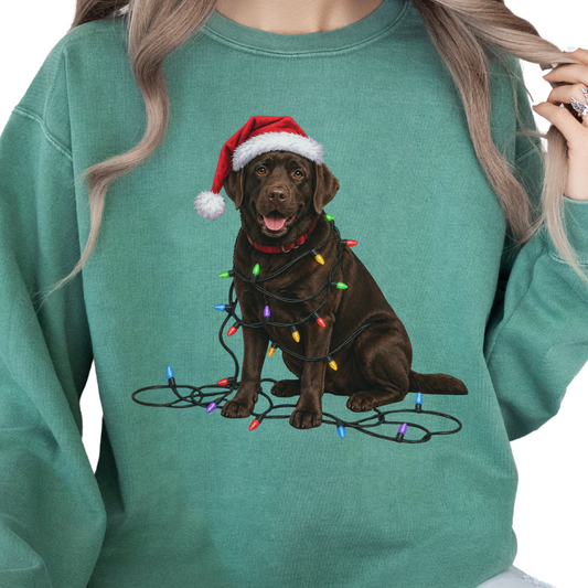 Chocolate Lab Christmas Lights Sweatshirt