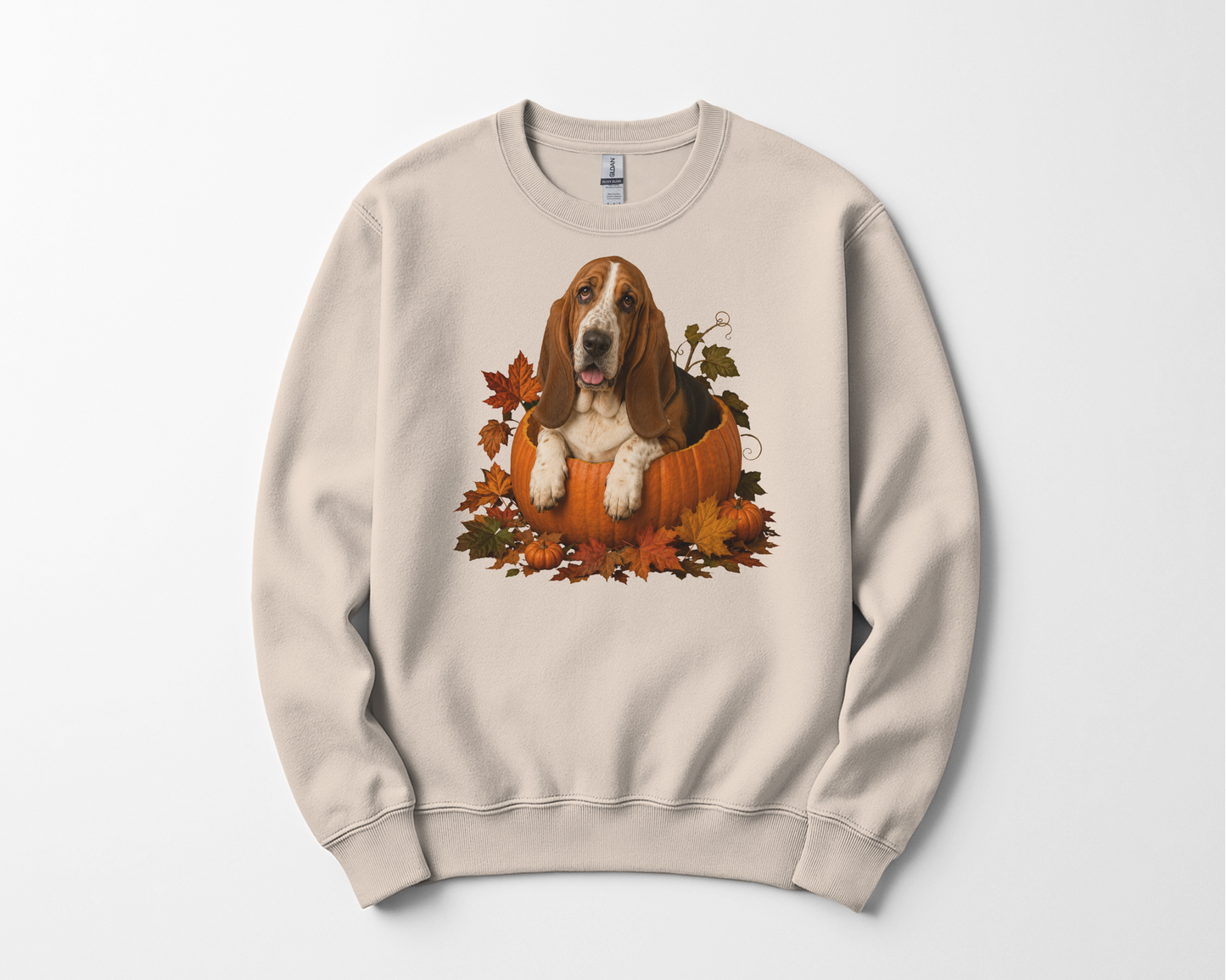 Basset Hound Pumpkin Sweatshirt Fall Dog Lover Autumn Puppy Crewneck Cozy Gift Pullover Apparel