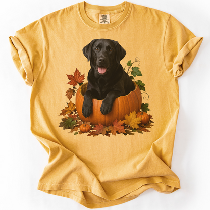 Black Lab Pumpkin Shirt Fall Dog Lover Autumn Labrador Comfort Colors Graphic Tee Gift Apparel