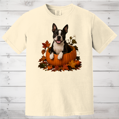 Boston Terrier Pumpkin Shirt