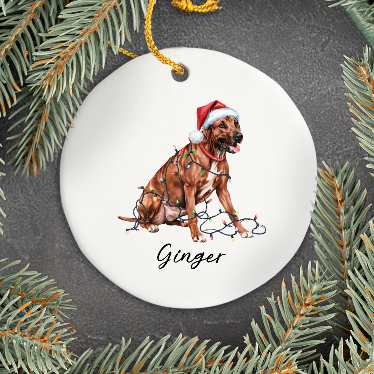 Rhodesian Ridgeback Ornament, Custom Dog Lover Holiday Gift, Personalized Pet Keepsake, Christmas Tree Decoration, Ceramic Ornament