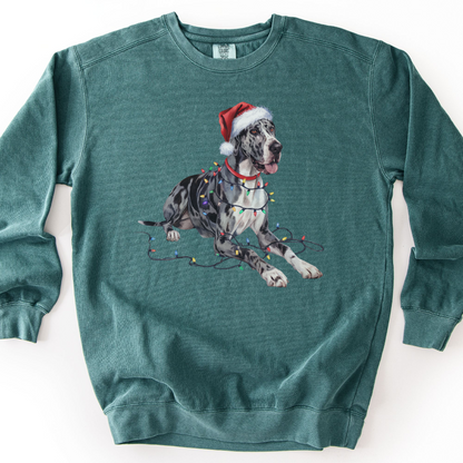Great Dane Christmas Lights Sweatshirt