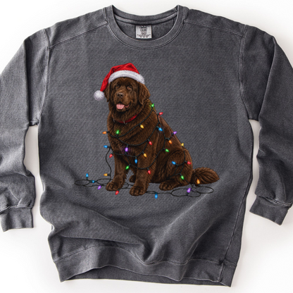 Chocolate Newfoundland Christmas Lights Dog Sweatshirt, Festive Newfie Mom Gift