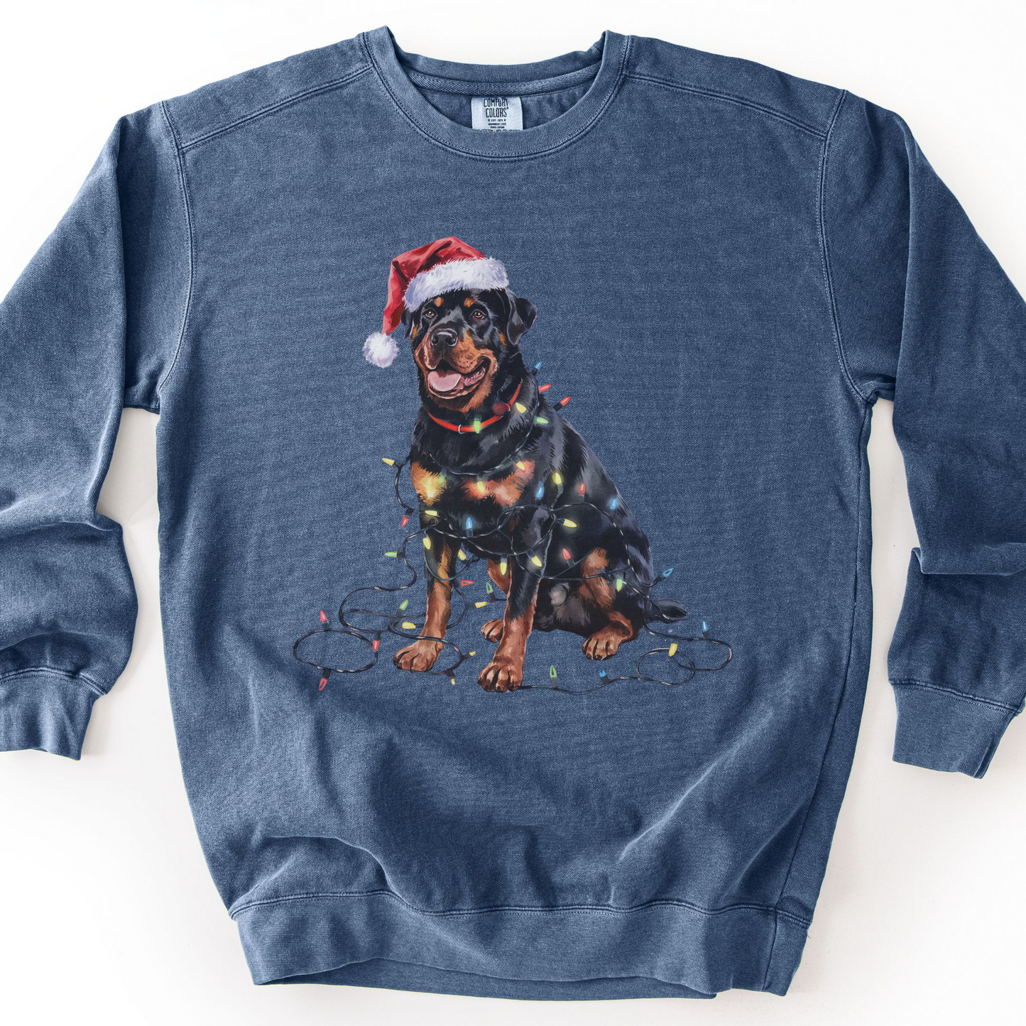 Rottweiler Christmas Lights Sweatshirt, Festive Dog Mom Sweater