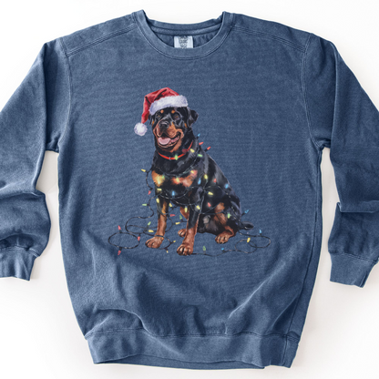 Rottweiler Christmas Lights Sweatshirt, Festive Dog Mom Sweater