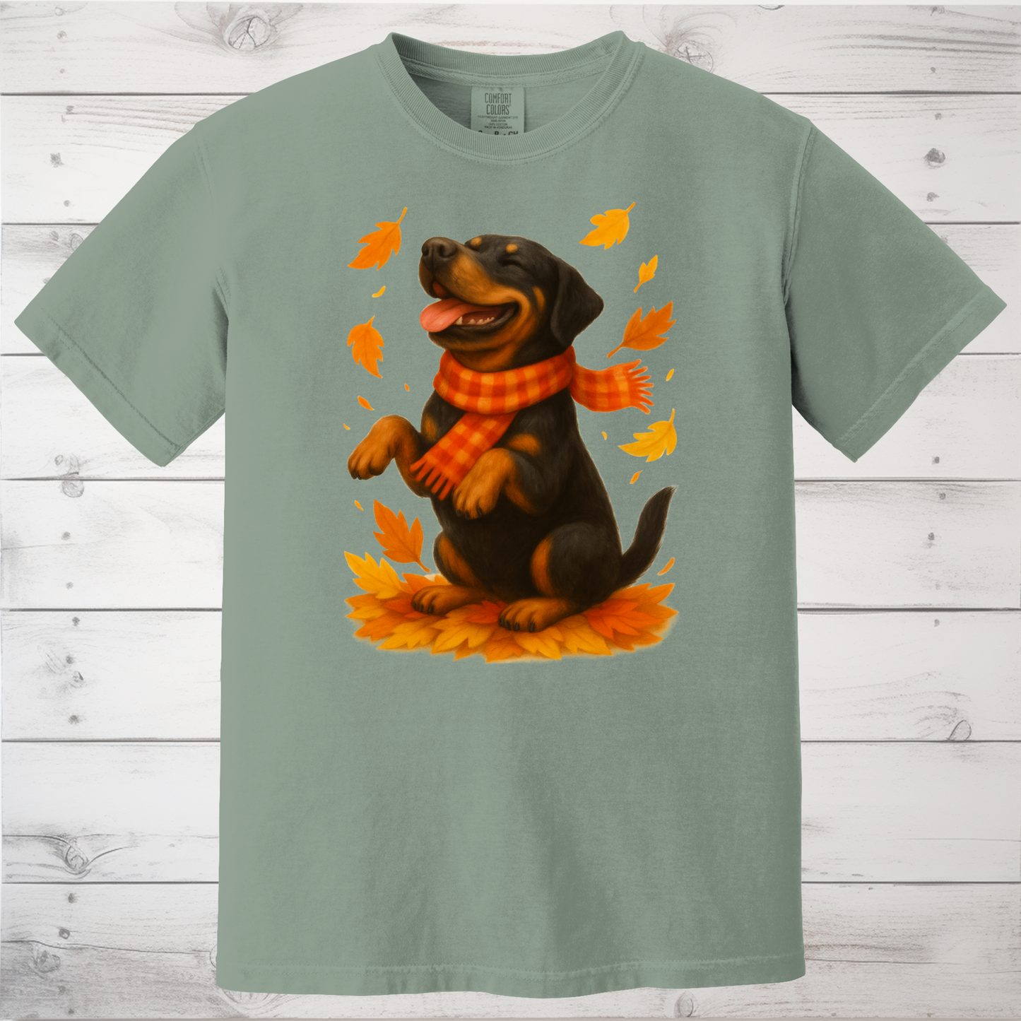 Rottweiler Autumn Shirt, Cozy Fall Dog Sweatshirt, Cute Black Dog Lover Gift, Seasonal Apparel Pullover, Autumn Dog Outfit