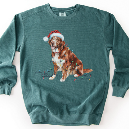 Nova Scotia Duck Tolling Retriever Christmas Sweatshirt, Festive Lights Dog Sweater