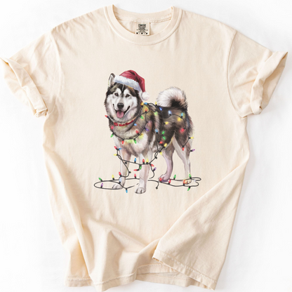 Alaskan Malamute Christmas Lights Dog Shirt
