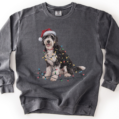 Labradoodle Christmas Lights Sweatshirt