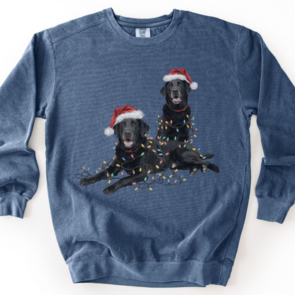 Black Labs Christmas Lights Sweatshirt