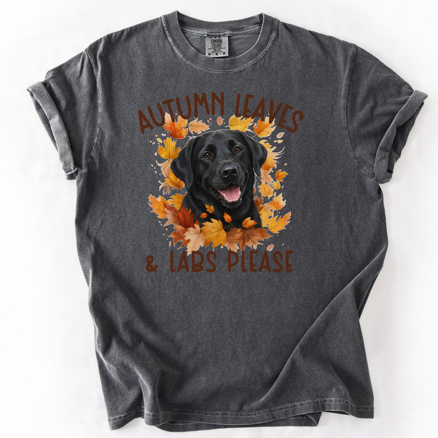 Black Lab Mom Fall Shirt, Autumn Leaves & Labs Please