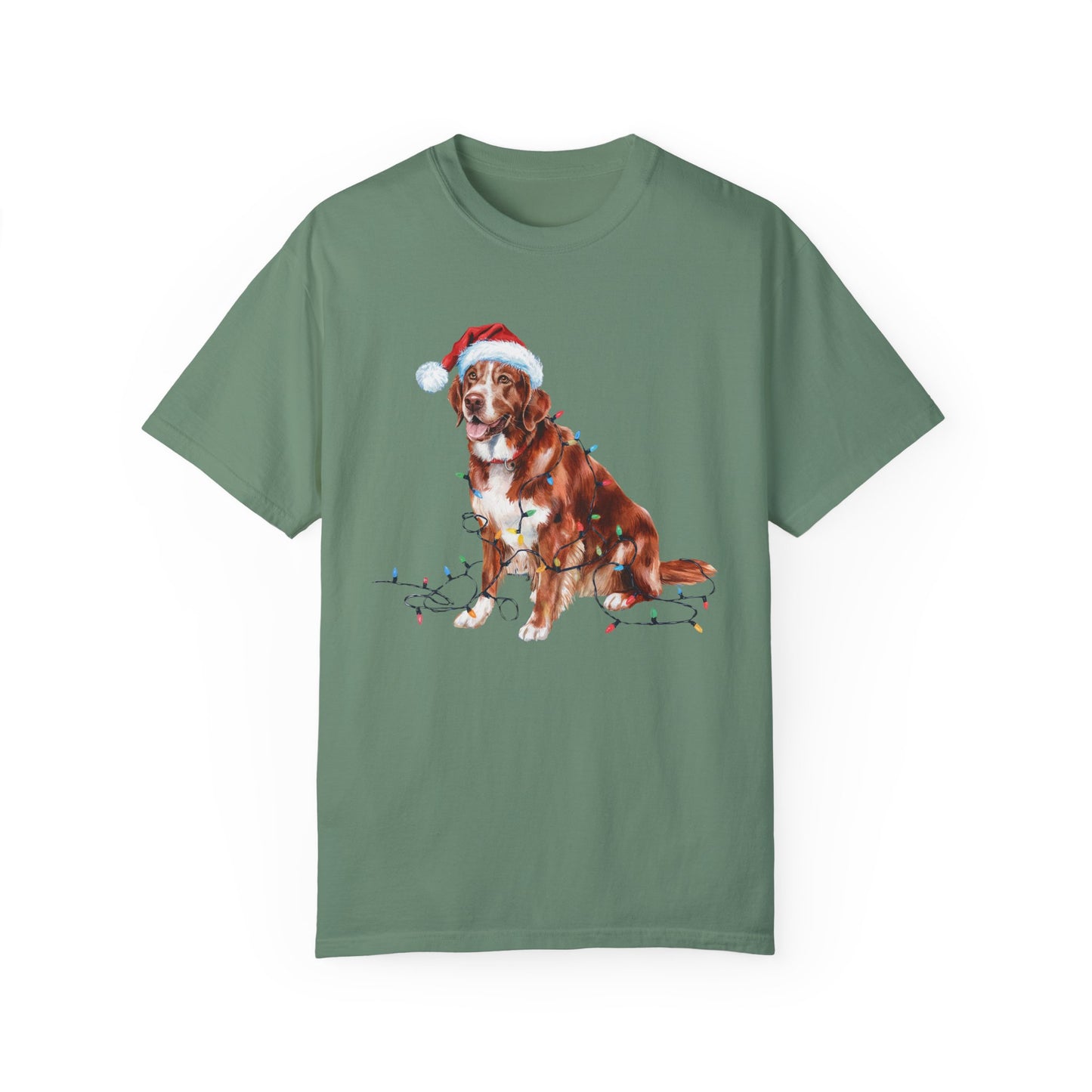 Christmas Nova Scotia Duck Tolling Retriever Shirt, Christmas Lights Dog Tee, Christmas Dog Tee, Retriever Mom Tshirt, Gift for Dog Lover