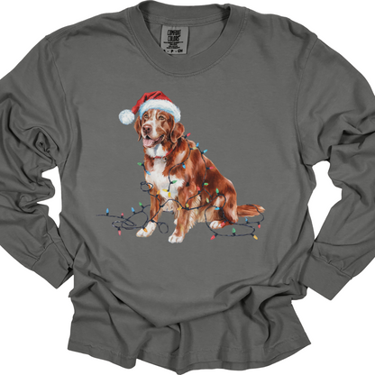 Christmas Nova Scotia Duck Tolling Retriever Long Sleeve Shirt, Festive Dog Lights Tee