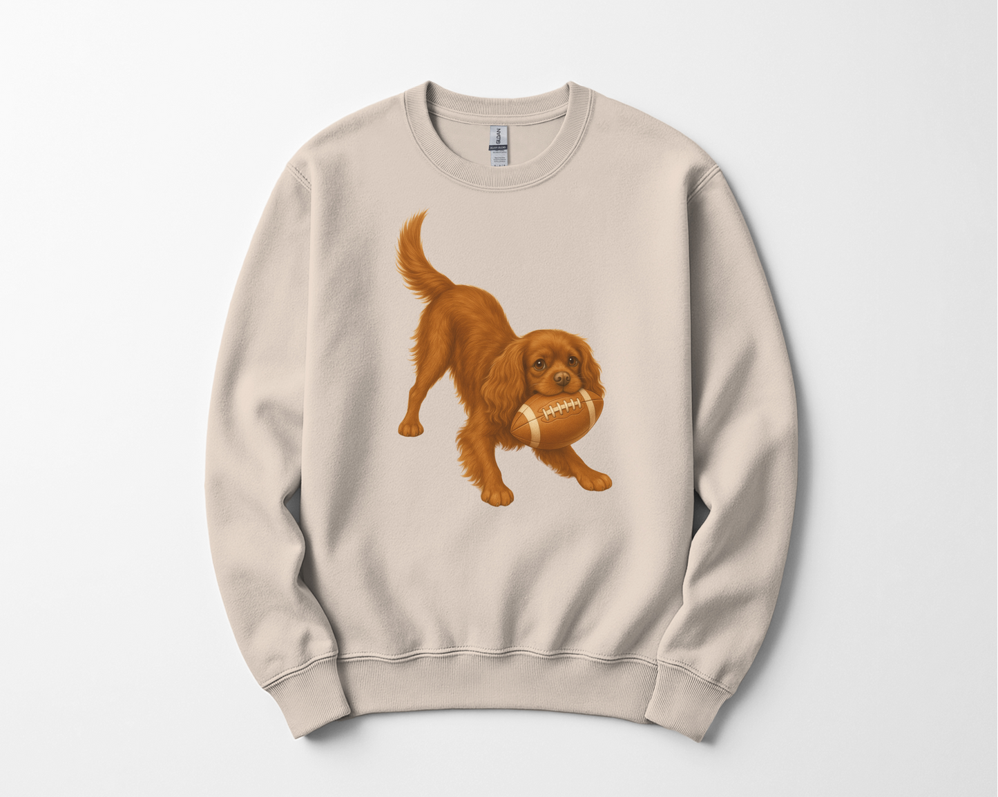 Ruby Cavalier Football Sweatshirt