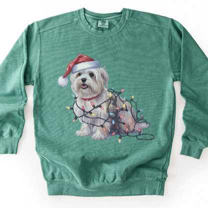 Maltese Christmas Lights Dog Sweatshirt