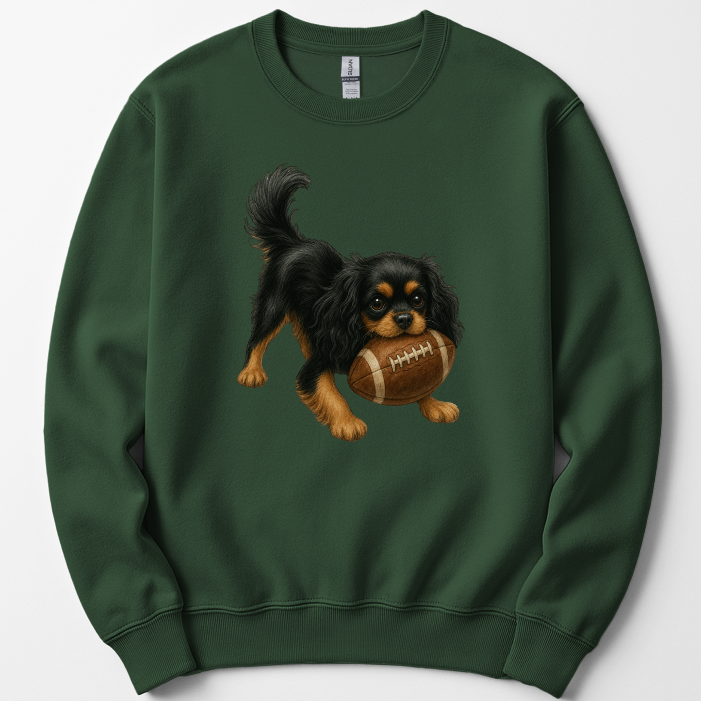 Black and Tan Cavalier Football Sweatshirt Cute Dog Lover Game Day Crewneck Gift Shirt