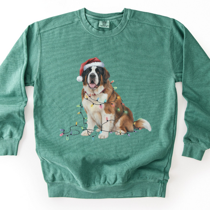 Saint Bernard Christmas Lights Sweatshirt, Festive Dog Lover Gift