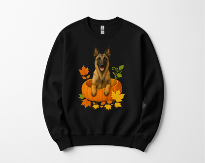 Belgian Malinois in Pumpkin Fall Shirt