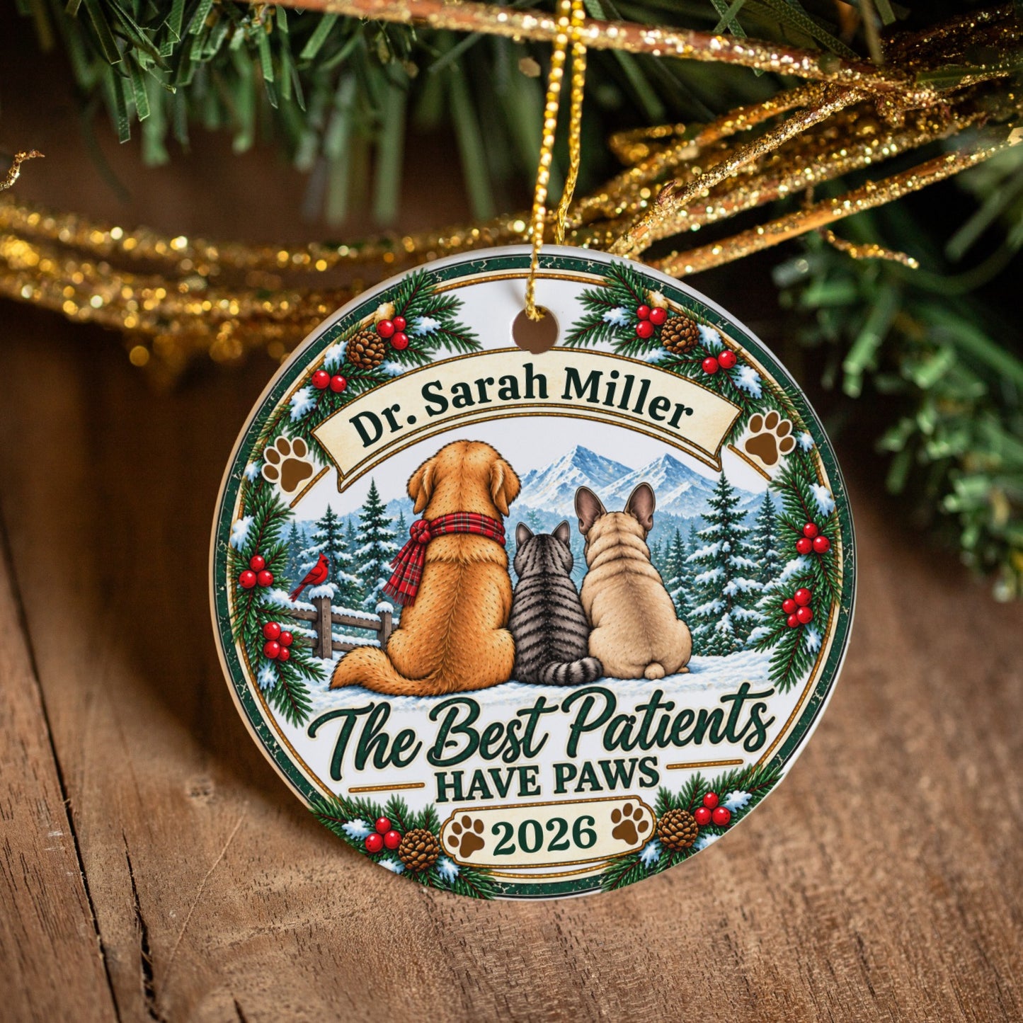 Personalized Veterinarian Ornament, Vet Christmas Gift, Best Vet Gift, Custom Pet Doctor Ornament