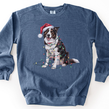 Border Collie Christmas Lights Sweatshirt