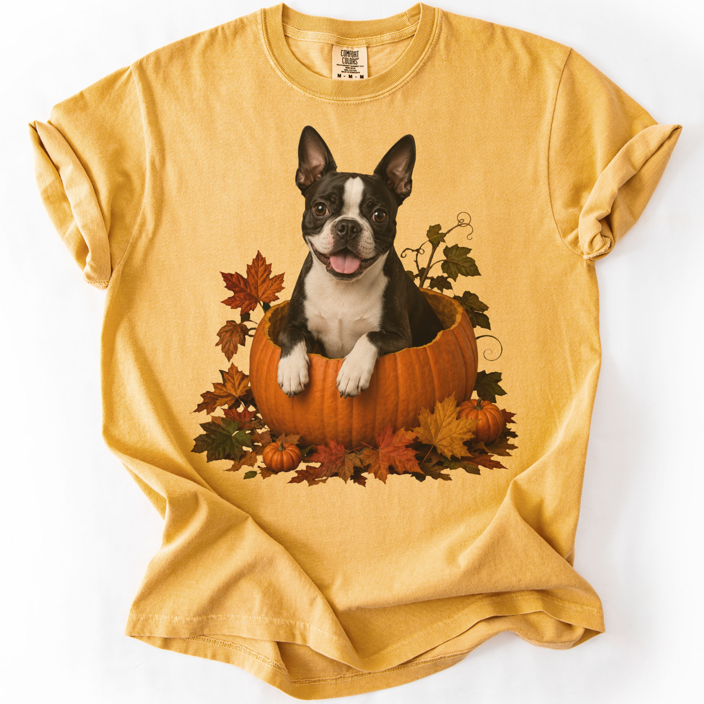 Boston Terrier Pumpkin Shirt, Cute Fall Dog Lover Tee on Comfort Colors