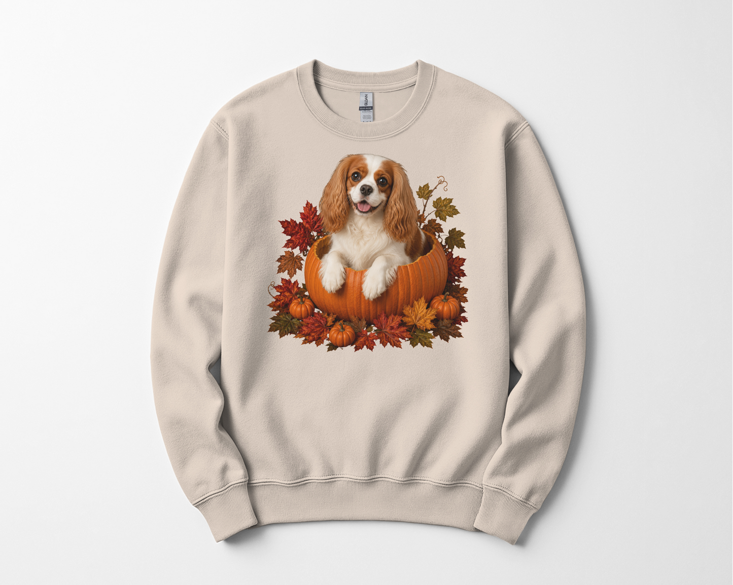 Blenheim Cavalier Pumpkin Sweatshirt Fall Dog Lover Autumn Puppy Crewneck Cozy Gift Pullover Apparel