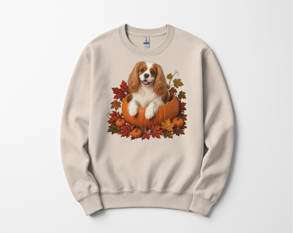 Blenheim Cavalier Pumpkin Sweatshirt Fall Dog Lover Autumn Puppy Crewneck Cozy Gift Pullover Apparel