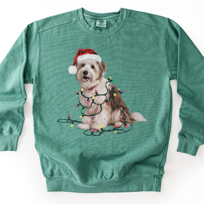 Coton De Tulear Christmas Lights Dog Sweatshirt