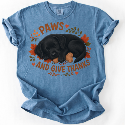 Black Lab Thanksgiving Shirt, Paws Give Thanks Tee, Fall Labrador Retriever Lover Gift