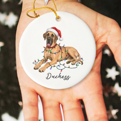 Personalized Fawn Great Dane Christmas Ornament, Festive Dog Keepsake