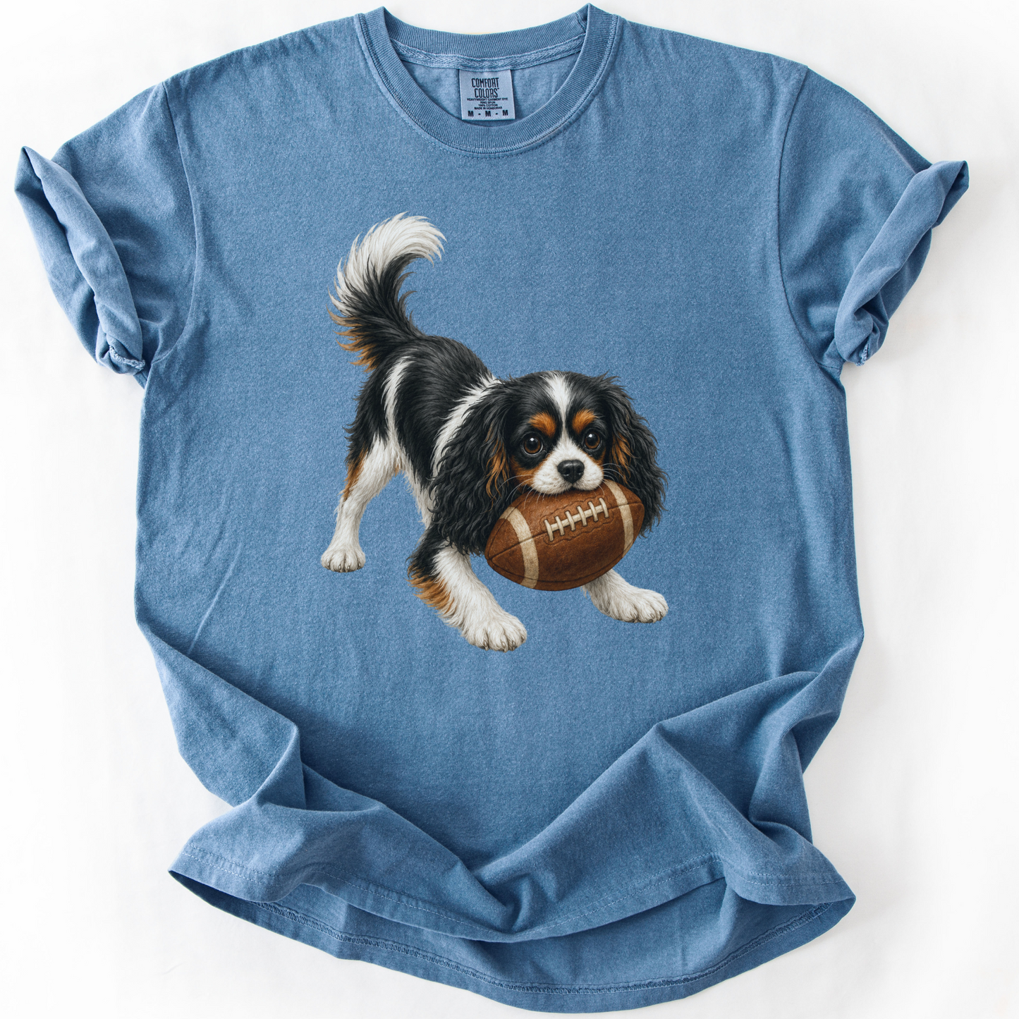 Tricolor Cavalier Football Shirt