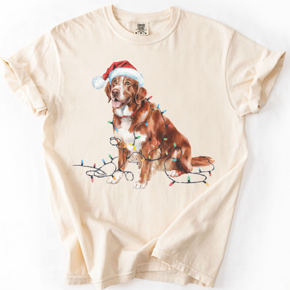 Christmas Nova Scotia Duck Tolling Retriever Shirt, Christmas Lights Dog Tee, Christmas Dog Tee, Retriever Mom Tshirt, Gift for Dog Lover