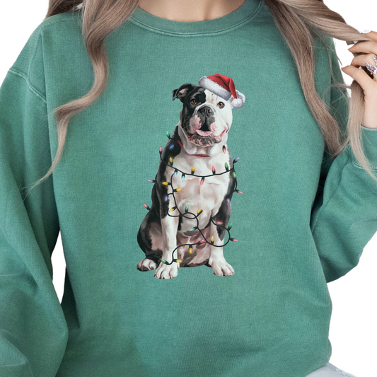American Bulldog Christmas Lights Sweatshirt, Festive Dog Lover Gift