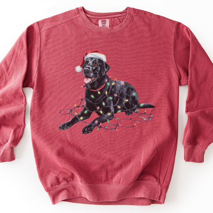 Black Lab Christmas Lights Sweatshirt