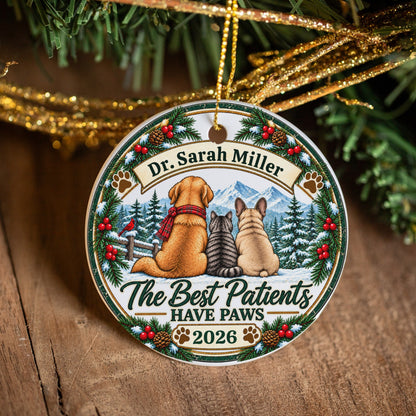Personalized Veterinarian Ornament, Vet Christmas Gift, Best Vet Gift, Custom Pet Doctor Ornament