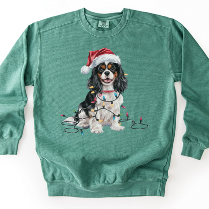 Tri-color Cavalier Christmas Lights Sweatshirt