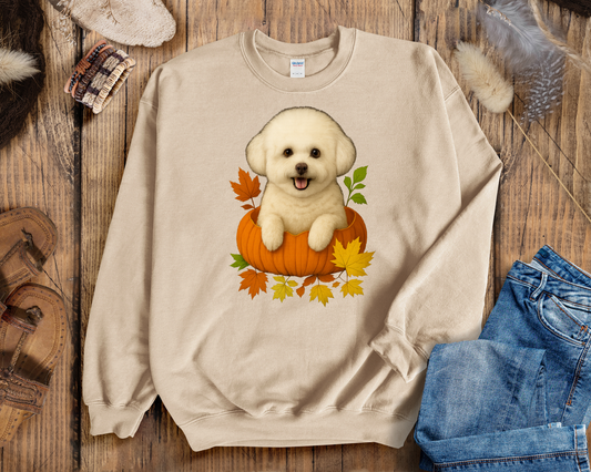 Bichon Frise Pumpkin Shirt