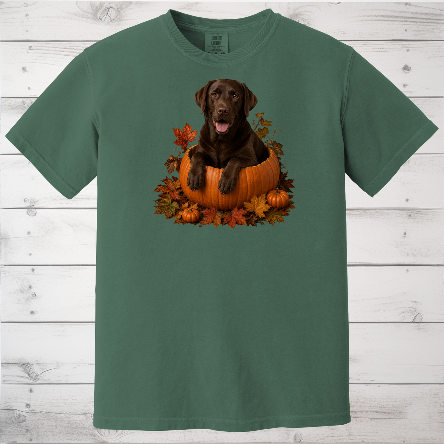 Chocolate Lab Pumpkin Shirt