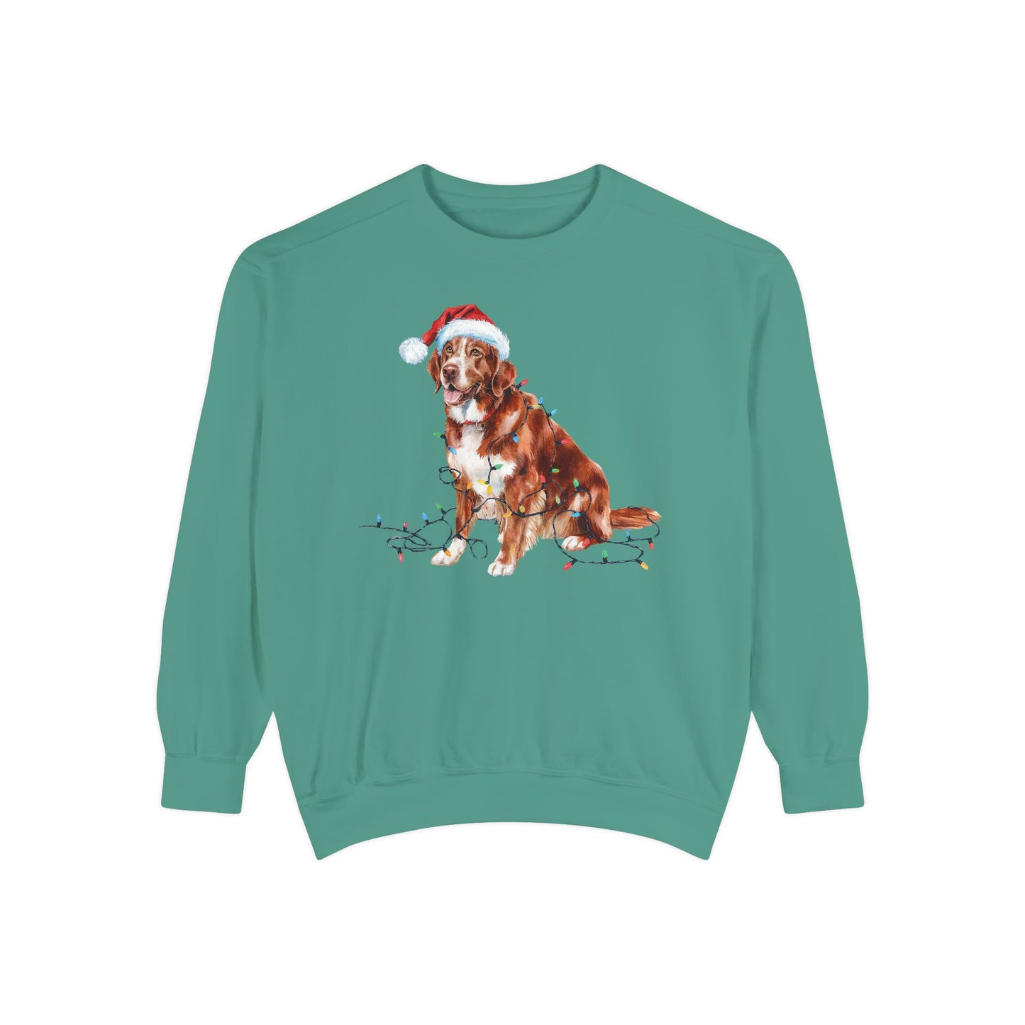 Christmas Nova Scotia Duck Tolling Retriever Sweatshirt, Christmas Lights Dog, Nova Scotia Duck Tolling Retriever Mom, Gift for Dog Lover