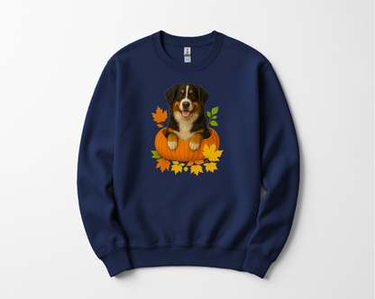 Bernese Mountain Dog Pumpkin Shirt