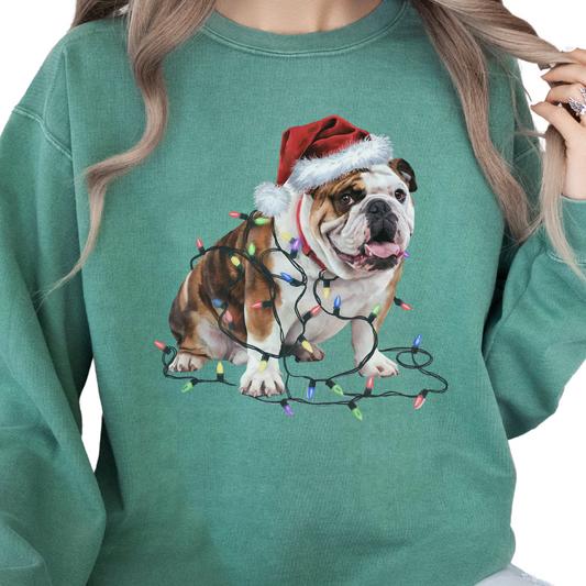 Bulldog Christmas Lights Sweatshirt