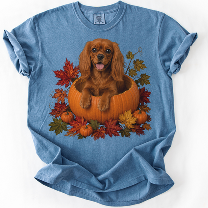 Ruby Cavalier King Charles in Pumpkin Fall Shirt, Cute Autumn Dog Tee for Spaniel Lovers