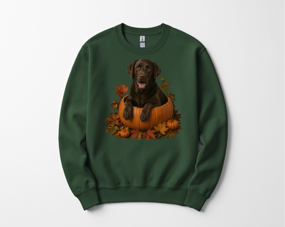 Chocolate Lab Pumpkin Sweatshirt Fall Dog Lover Autumn Labrador Cozy Crewneck Gift Pullover Apparel