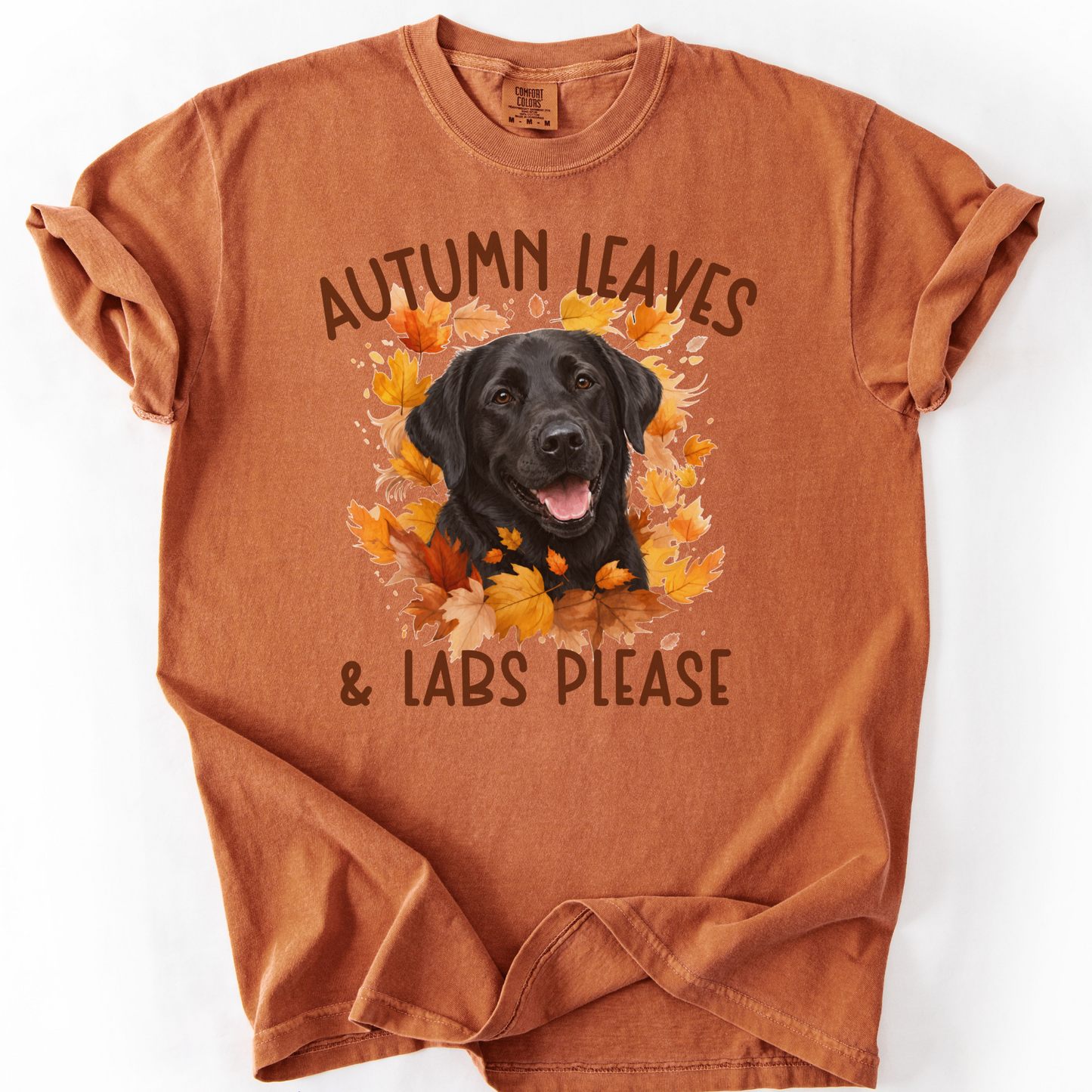 Black Lab Mom Fall Shirt, Autumn Leaves & Labs Please
