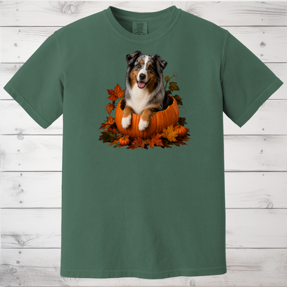 Australian Shepherd Pumpkin Shirt